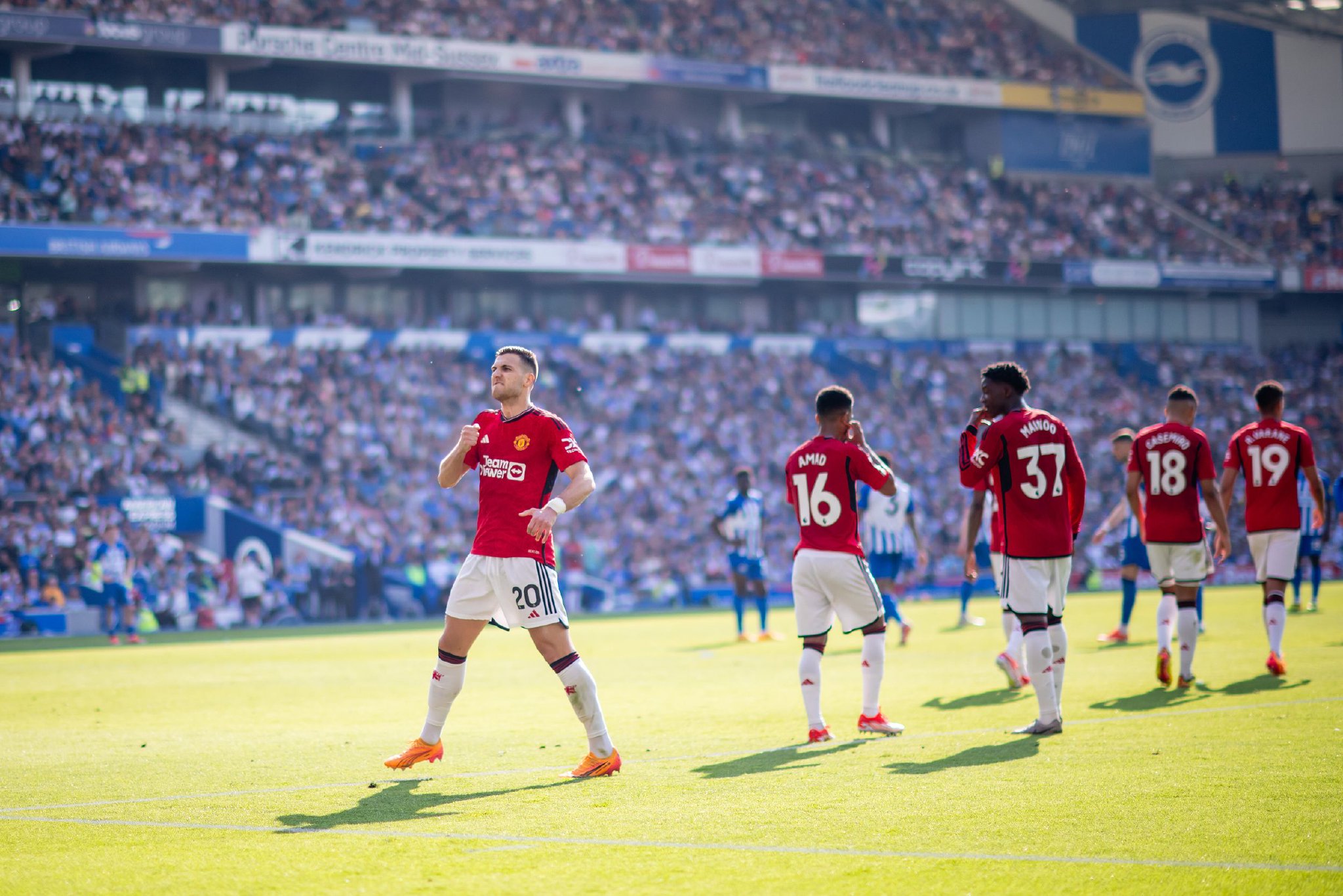 亚冬会已经 亚冬会已经